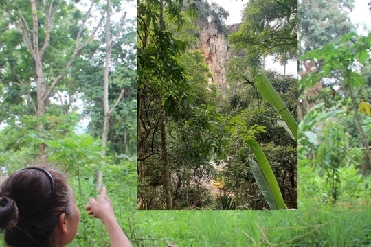 Quỳ Châu đề nghị thu hồi một phần mỏ khai thác đá của Công ty Tùng Cường