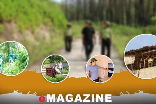 Ngăn chặn lửa rừng - Bài 1: Chủ động triển khai các giải pháp