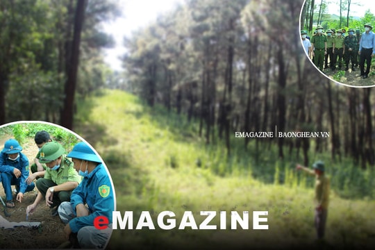 Ngăn chặn lửa rừng - Bài cuối: Tăng cường giải pháp hiệu quả