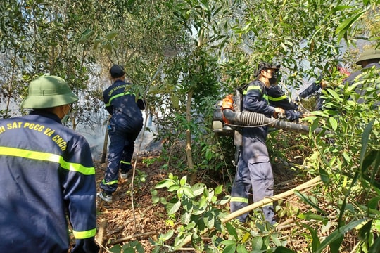 Nỗ lực dập đám cháy rừng thông hơn 20 năm tuổi tại Hưng Nguyên