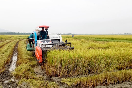 Yên Thành quyết tâm xây dựng huyện nông thôn mới nâng cao 