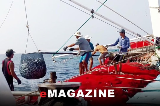 Gỡ khó cho 'tàu 67' - Bài cuối: Cần tiếng nói chung để sớm có giải pháp