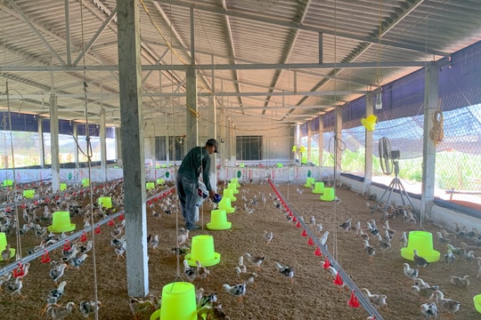 Nghệ An: Doanh số cho vay đối tượng chính sách tăng mạnh