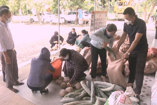 Nông sản quê Nghệ tiếp sức cho người dân TP. Hồ Chí Minh chống dịch