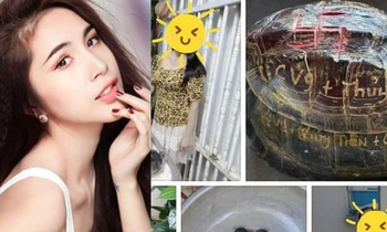 Thủy Tiên lại gây ồn ào khi khắc tên gia đình lên mai rùa để phóng sinh