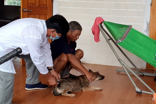 Chung tay loại trừ bệnh dại khỏi cộng đồng