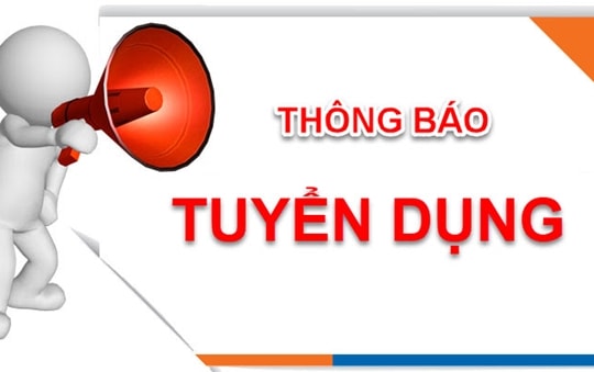 Thông báo về việc tiếp nhận, tuyển dụng viên chức giáo viên tiểu học ở Diễn Châu