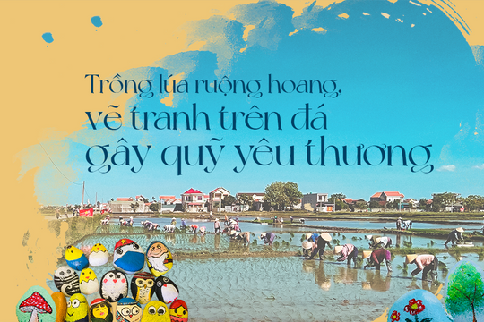 Trồng lúa ruộng hoang, vẽ tranh trên đá gây quỹ yêu thương