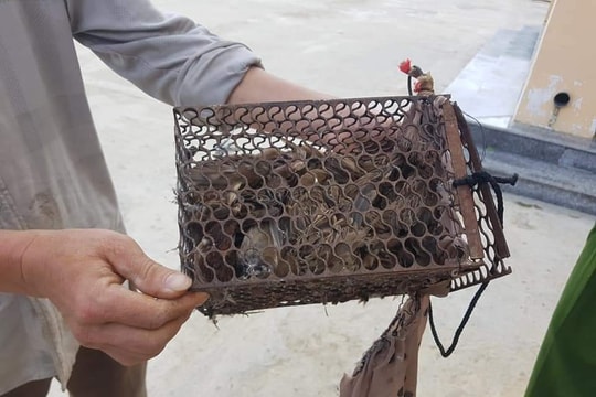 Xã biên giới Nghệ An xử lý đối tượng săn bắt chim trái phép