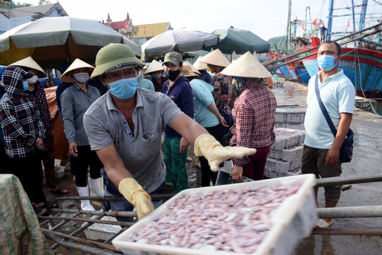 Tàu thuyền về tránh bão số 3, cảng cá Nghệ An phong phú hải sản