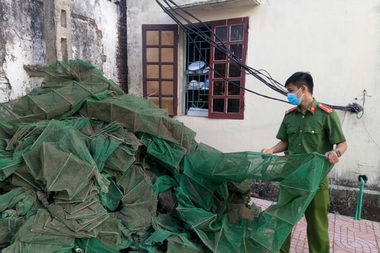 Diễn Châu: Thu giữ hơn 300 rọ lưới bát quái, 5 kích điện 'tận diệt' thủy sản ở xã Diễn Đồng
