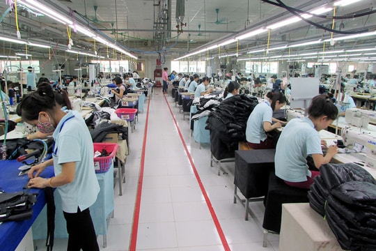 Khẩn trương triển khai chính sách hỗ trợ người lao động, doanh nghiệp khó khăn do Covid-19