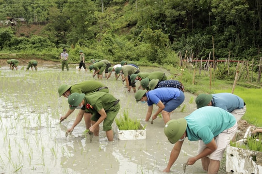 Các lực lượng giúp người dân vùng tâm dịch Tương Dương cấy lúa