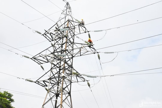 Công ty Điện lực Nghệ An chủ động triển khai các phương án an toàn điện mùa mưa bão