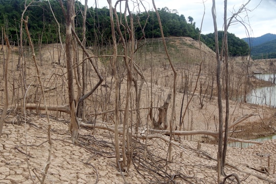 Lòng hồ thủy điện Hủa Na vẫn cạn trơ đáy sau đợt mưa lớn