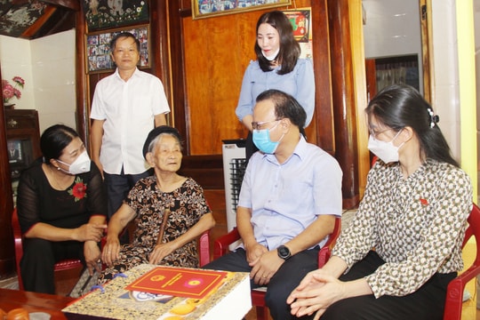 Phó Chủ tịch HĐND tỉnh Nguyễn Nam Đình dâng hương tưởng niệm liệt sỹ, tặng quà Mẹ Việt Nam anh hùng 