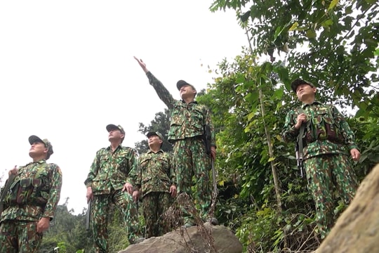 Bộ đội Biên phòng Nghệ An giăng dây, treo chuông... phòng tránh voi rừng
