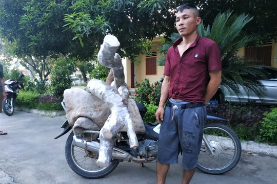 Bắt 9x chuyên trộm cây cảnh để bán