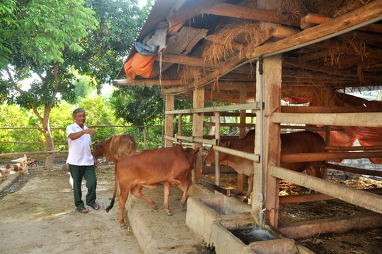 Khởi sắc từ nguồn vốn tín dụng chính sách ở Nghệ An