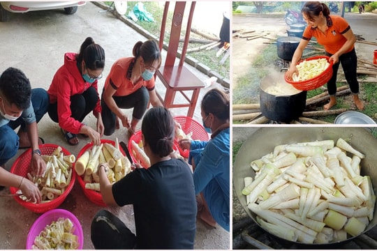 Người dân vùng cao Nghệ An lên rừng hái măng, gửi về xuôi chống dịch