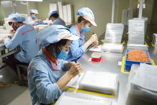 'Luật sư' miễn phí của đoàn viên, người lao động