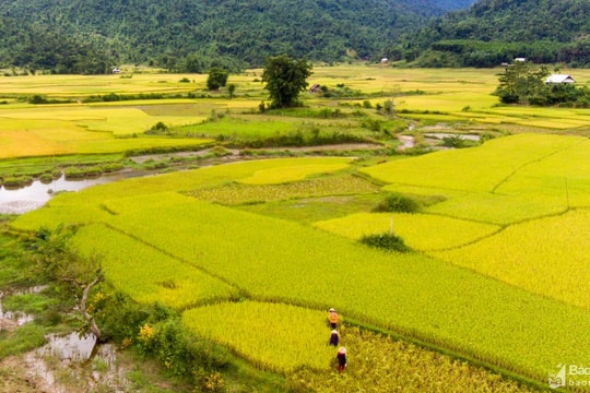Học và làm theo Bác ở Quế Phong