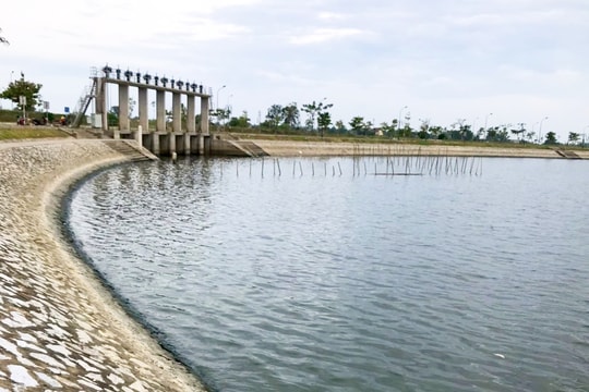 TP. Vinh xử lý, khắc phục tình trạng cá chết tại hồ điều hòa