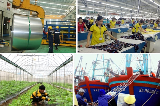 Đề xuất tỉnh có những chủ trương, chính sách phù hợp thúc đẩy sự phát triển