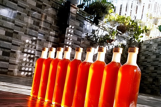 Hàng nghìn lít mật ong của nông dân Nghệ An giá xuống thấp vẫn ế