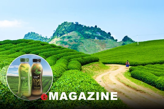 Khám phá hành trình giữ trọn giá trị thật của trà tự nhiên với TH true TEA