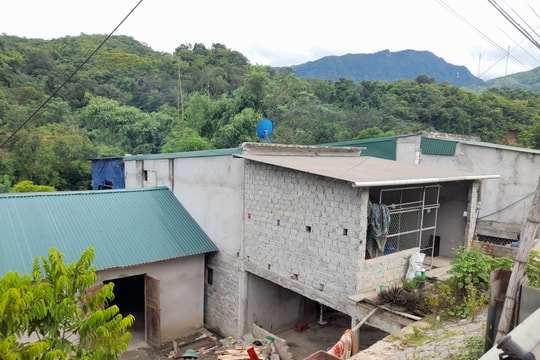 Bé gái 6 tuổi rơi từ độ cao 10m tử vong