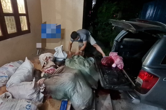 Nghệ An: Phát hiện 460 kg thịt lợn không có giấy tờ chứng minh nguồn gốc
