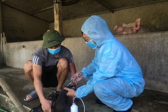 Nghệ An sẽ tái lập chức danh bảo vệ thực vật, thú y ở cấp xã