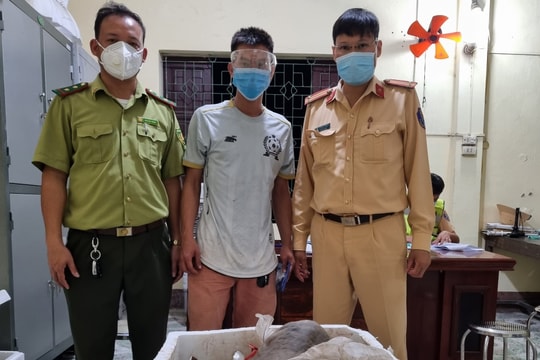  Bắt vụ vận chuyển động vật hoang dã từ Nghệ An ra phía Bắc tiêu thụ