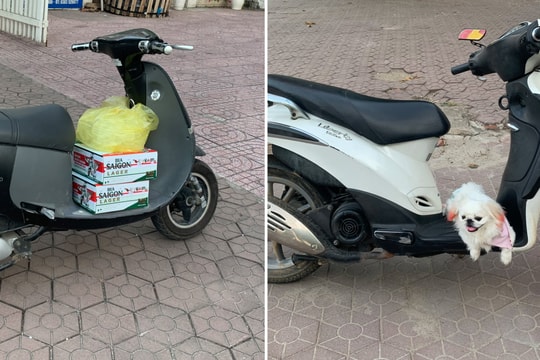 Ngang nhiên đi mua bia nhậu, đưa chó đi dạo khi TP Vinh thực hiện Chỉ thị 16