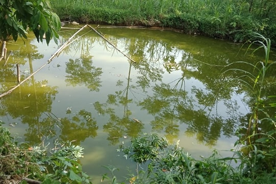 Cháu bé gần 2 tuổi đuối nước dưới ao nhà 