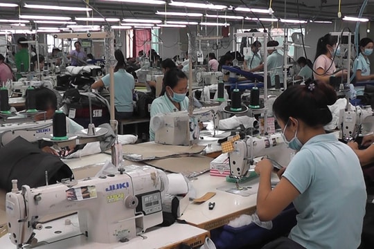 Công nhân nhà máy may nhiễm Covid-19, nguy cơ lớn bùng dịch ở Yên Thành (Nghệ An)