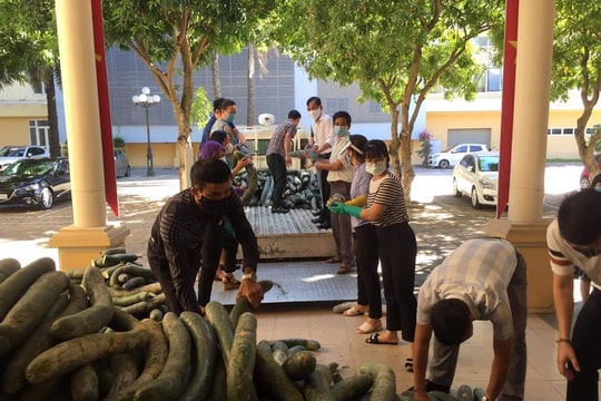 Cách làm hay giúp nông dân Nghệ An tiêu thụ nông sản trong mùa dịch