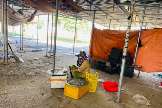 Nghệ An: Lo ngại dịch bệnh, nhiều chợ chưa có lệnh cấm cũng vắng hoe