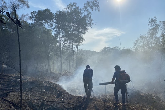 Kịp thời dập tắt vụ cháy rừng tại huyện Thanh Chương