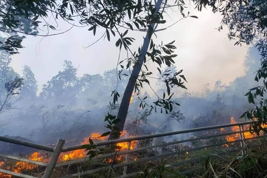 Kịp thời dập tắt lửa rừng tại vùng giáp ranh Đô Lương và Yên Thành