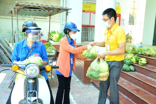 Phương án cung ứng thực phẩm thiết yếu cho người dân trên địa bàn thành phố Vinh 