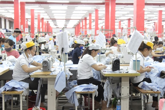 Hướng dẫn đóng BHXH tự nguyện, gia hạn BHYT hộ gia đình trong thời gian dịch bệnh