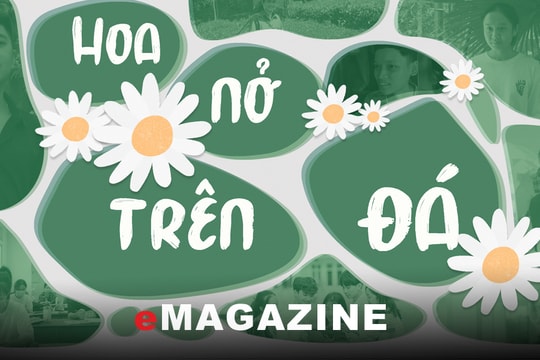 Hoa nở trên đá - Kỳ cuối: Để những giấc mơ không còn dang dở