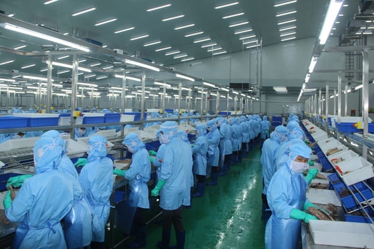 Nghệ An: Thu ngân sách nhà nước 8 tháng ước đạt hơn 12.296 tỷ đồng