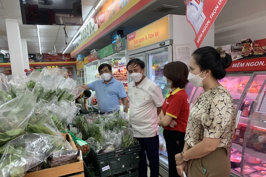 Các siêu thị sẽ bao tiêu 10 tấn rau/ngày cho nông dân Nghệ An