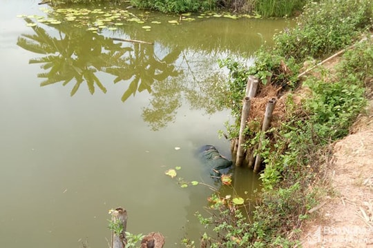 Đi chăn trâu phát hiện thi thể người phụ nữ nổi trên mép đập