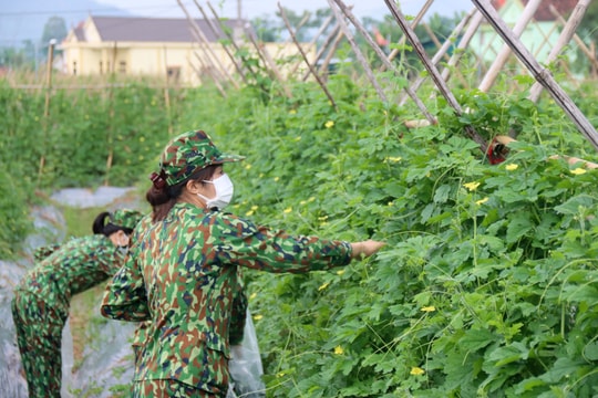 Bộ Chỉ huy Quân sự tỉnh thu mua nông sản phục vụ cho 'gian hàng 0 đồng'