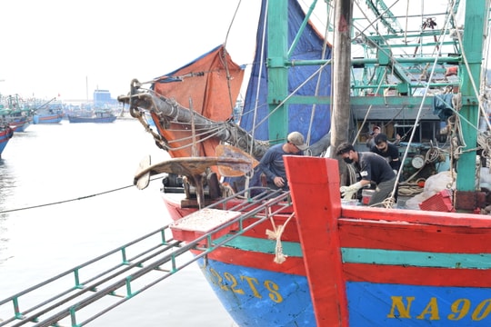 Nghệ An chủ động đưa tàu thuyền về bờ tránh bão Conson