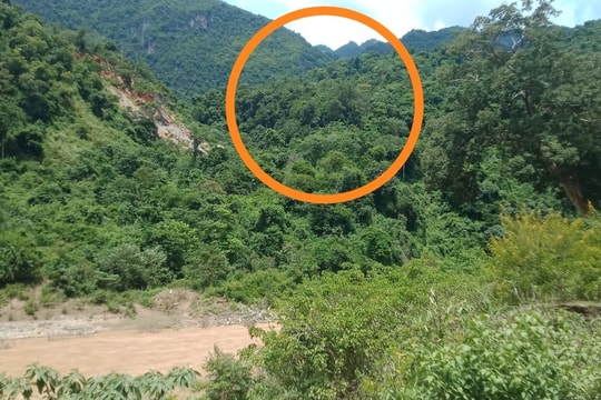 2 lao động Nghệ An thương vong khi đi khai thác gỗ ở nước bạn Lào